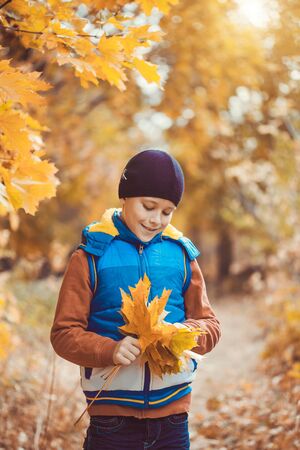 happy kid on a background of autumn treesの写真素材