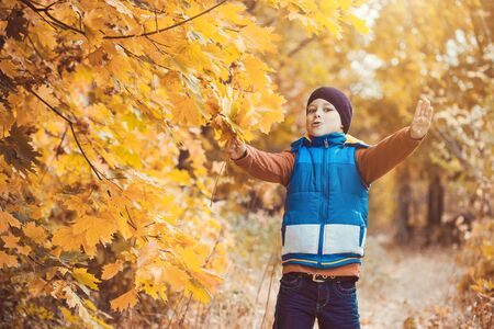 happy kid on a background of autumn treesの写真素材