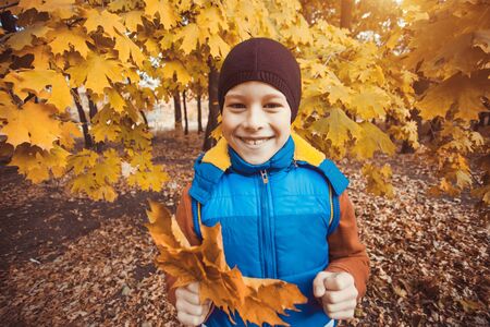 happy kid on a background of autumn treesの写真素材