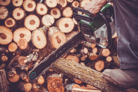 Close up of male hands cutting trunk with chainsawの写真素材