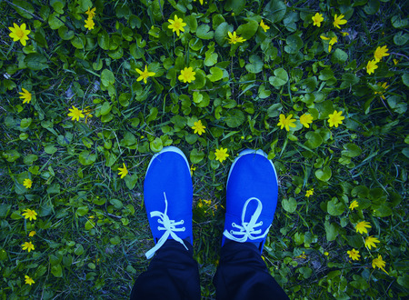 Close up of  blue sneakers on a flowering meadowの写真素材