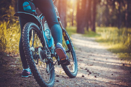 low angle view of cyclist riding mountain bike in the forest at sunsetの写真素材
