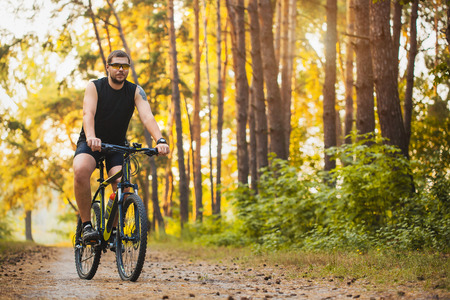 Cyclist Riding the Bike on a Trail in sunny Summer Forestの写真素材