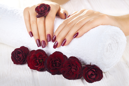 beautiful vinous manicure with rose flowers. spaの写真素材