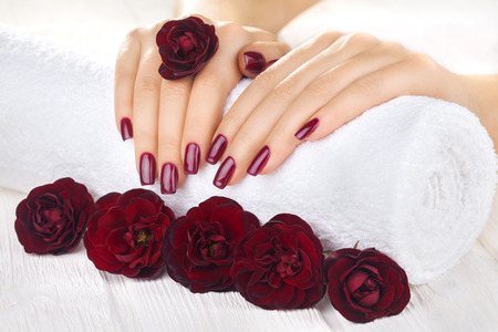 beautiful vinous manicure with rose flowers. spaの写真素材