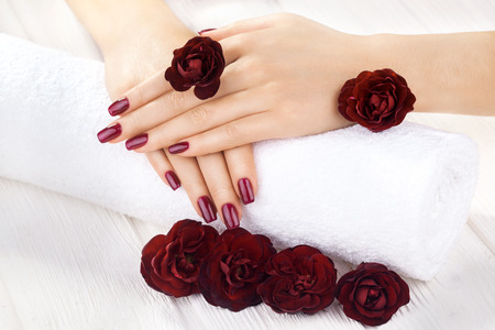 beautiful vinous manicure with rose flowers. spaの写真素材