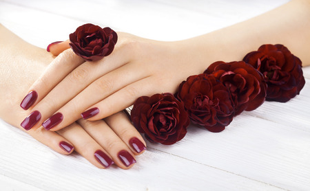 beautiful vinous manicure with rose flowers. spaの写真素材