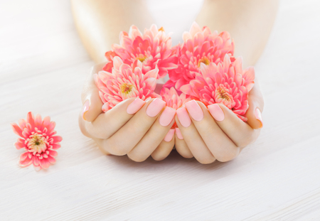 pink manicure with chrysanthemum flowers. spaの写真素材