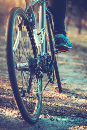 low angle view of cyclist riding mountain bike in the forest at sunsetの写真素材
