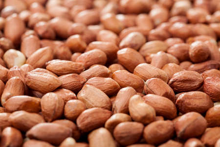peanuts for backgroundの写真素材