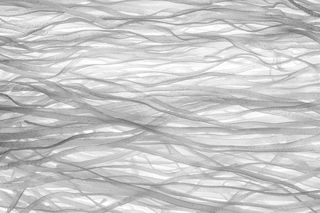 Raw Rice noodles background on skylightの写真素材