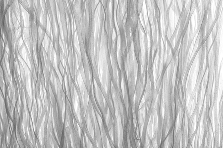 Raw Rice noodles background on skylightの写真素材