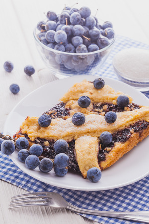 delicious homemade pie with blueberriesの写真素材