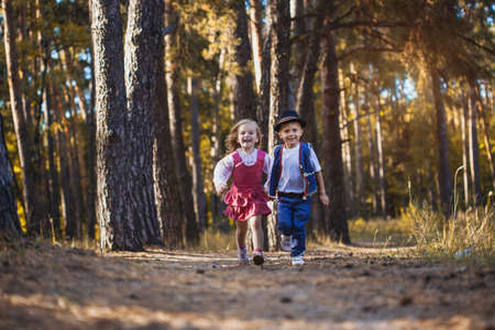 Funny kids playing in the parkの写真素材