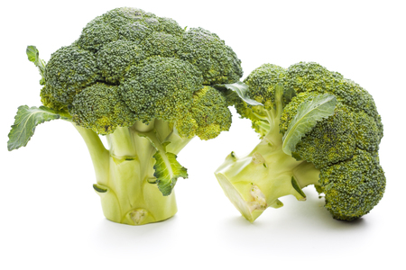 Raw Broccoli isolated on the white backgroundの写真素材