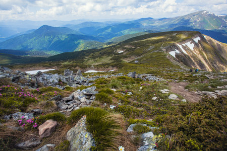 View of the high mountains with rocks on the foreground. Carpathian mountains