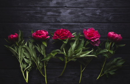 bouquet of red peonies, dark background,