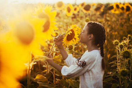 Cute child in a blossoming sunflower fieldの写真素材