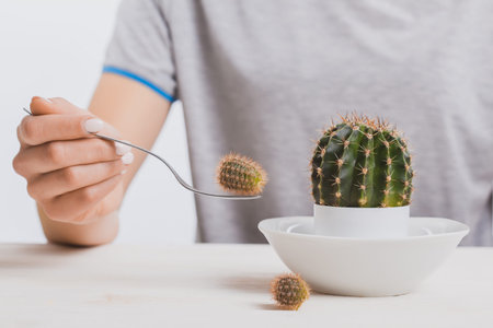 woman has breakfast prickly cactus. Concept diet. White backgroundの写真素材