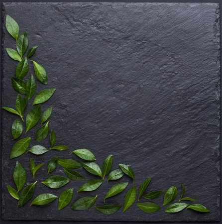 fresh green leaves on a black slate board