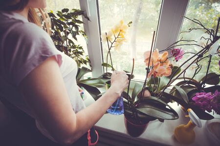 Girl caring for potted flowers on a windowsill.の写真素材