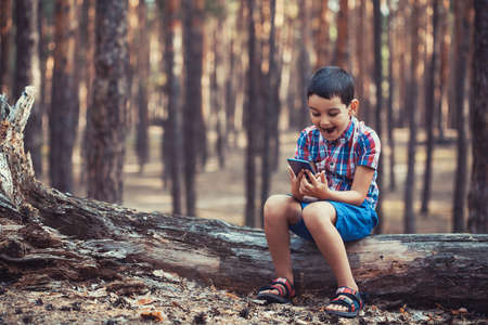 little boy in a picturesque pine forest playing with a smartphoneの写真素材