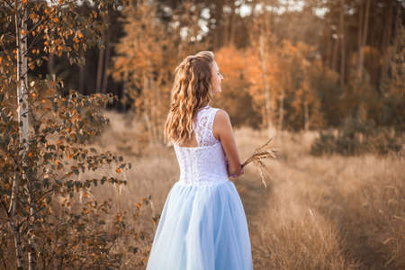 bride with a bouquet is walking on the autumn meadowの写真素材