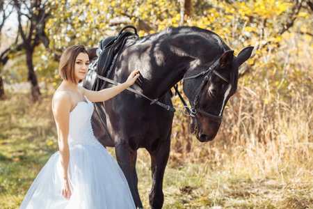 woman in white wedding dress walking with a horse in autumn parkの写真素材