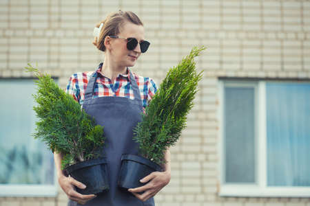 girl gardener prepares thuja seedlings for planting in the gardenの写真素材