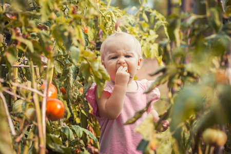 little baby eating tomato in garden, carefree childhoodの写真素材