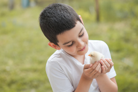 A portrait of an adorable little kid, preschool or school age, happy child holding a fluffy yellow baby chicken with both hands and smilingの写真素材