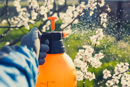 spring processing of trees. spraying the garden from pests and diseases with a spray gunの写真素材