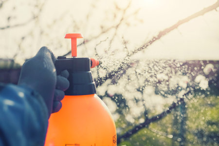 spring processing of trees. spraying the garden from pests and diseases with a spray gunの写真素材