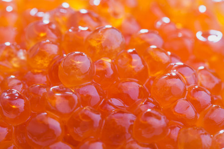 red caviar background macro shot, focus on a centerの写真素材