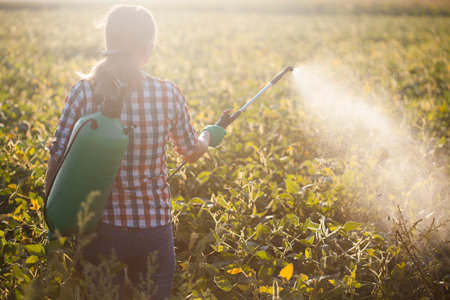 Young woman in a green backpack with a pressure garden sprayer spraying soybeans against diseases and pestsの写真素材