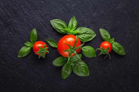 ripe fresh red tomatoes with basil leaves on a black slate board. Flat layの写真素材