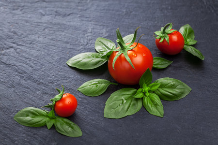 ripe fresh red tomatoes with basil leaves on a black slate board. Flat layの写真素材
