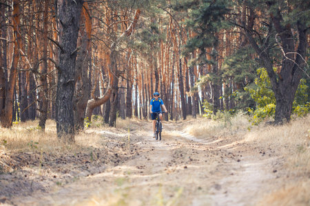 woman cyclist rides in the pine forest on a mountain bike.の写真素材