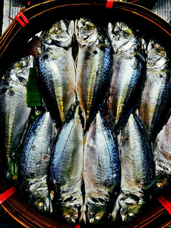 tuna fish