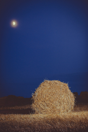 lone stack of Golden hay field in the night by the light of the moonの写真素材