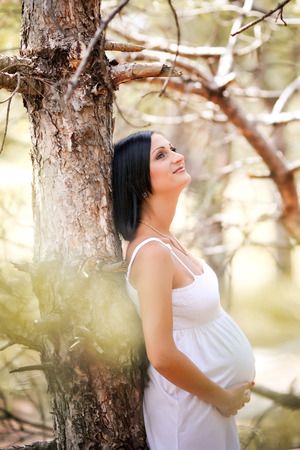 Beautiful pregnant woman relaxing in the parkの写真素材
