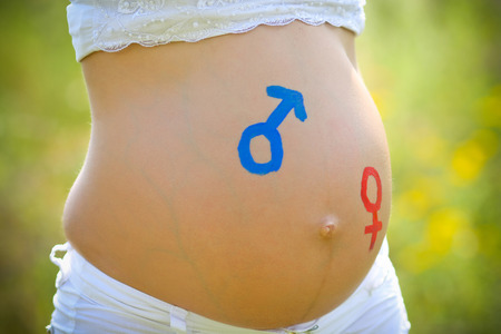 Young female in third trimester of pregnancy.の写真素材