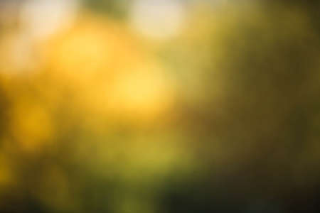 Defocused autumn view with vibrant golden, orange colors and bokehの写真素材