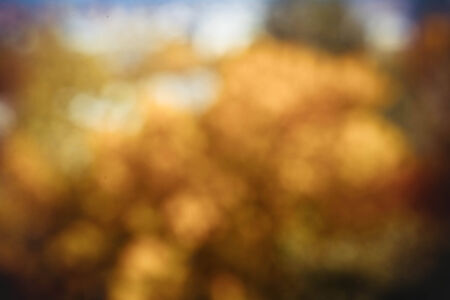 bokeh from tree , vintage styleの写真素材