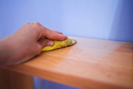 cleaner cleans furniture in the living roomの写真素材