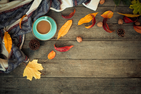 Autumn background on an old wooden background. Top view.の写真素材