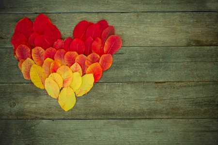 Heart from autumn leaves on a wooden backgroundの写真素材