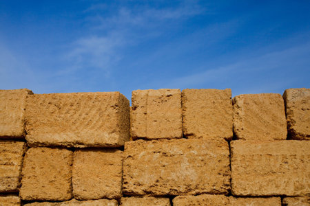 Brick from shells the background of the blue sky, copy space