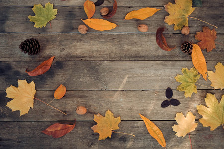 Autumn leaves, bumps and nuts lie in a circle on a wooden background. Copy space , top view .