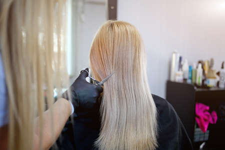 A hairdresser in rubber gloves holds a pair of scissors and a comb. Woman getting a new haircut. Female hairstylist cutting long blond hair with scissors in hair salonの写真素材